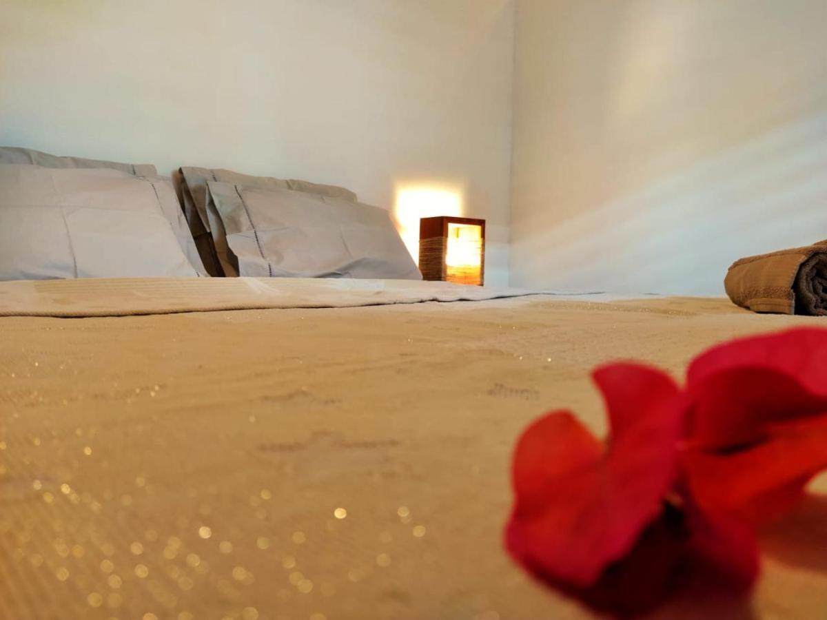 Villa Pitaya Icarai  Ngoại thất bức ảnh